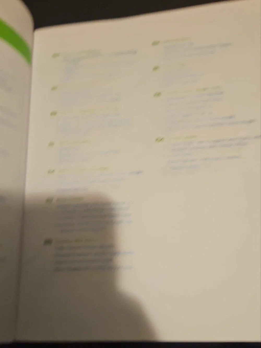 Rachael Ray Cookbook with Green Cover and Blue Title Accents